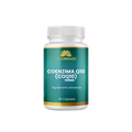 Coenzima Q10 (CoQ10)