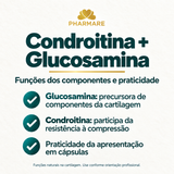 Condroitina e Glucosamina Pharmare: funções naturais dos componentes na cartilagem e praticidade da apresentação em cápsulas. Não contém promessa de regeneração ou alívio de dor.